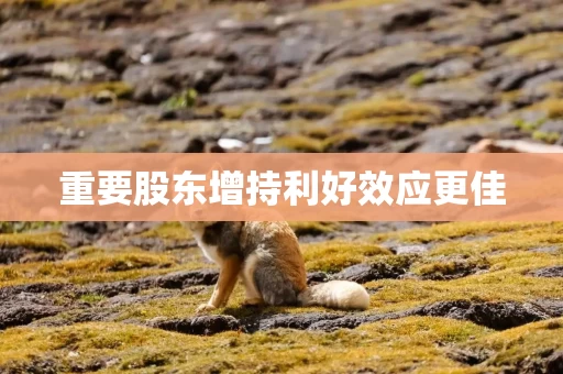 重要股东增持利好效应更佳