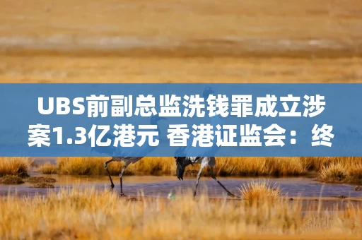 UBS前副总监洗钱罪成立涉案1.3亿港元 香港证监会：终身禁入