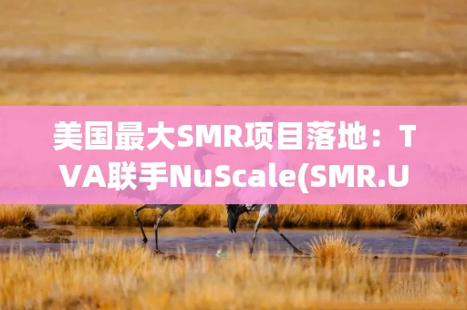 美国最大SMR项目落地：TVA联手NuScale(SMR.US)开发6吉瓦核能