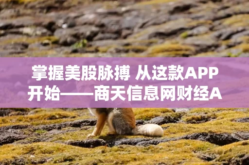 掌握美股脉搏 从这款APP开始——商天信息网财经APP引领智能投资新体验