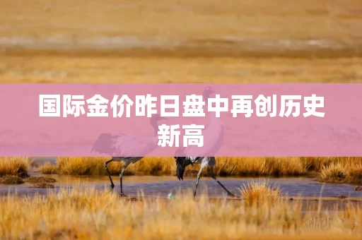 国际金价昨日盘中再创历史新高