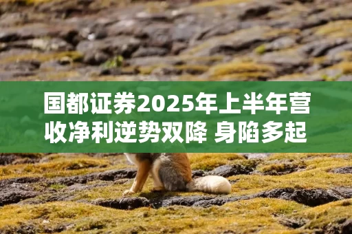 国都证券2025年上半年营收净利逆势双降 身陷多起诉讼反映内控隐忧