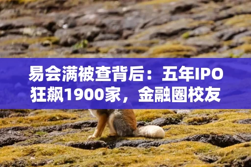 易会满被查背后：五年IPO狂飙1900家，金融圈校友网络先期崩塌