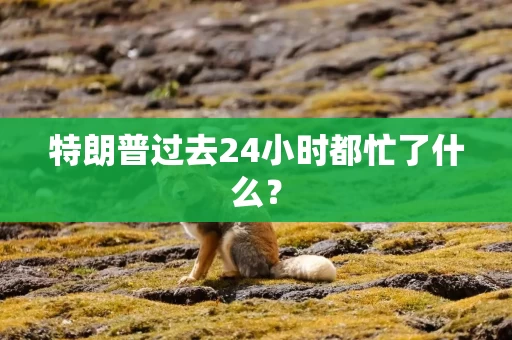 特朗普过去24小时都忙了什么？