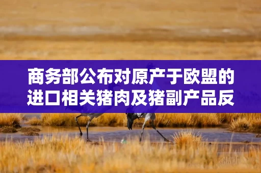 商务部公布对原产于欧盟的进口相关猪肉及猪副产品反倾销调查的初步裁定