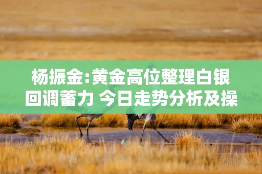 杨振金:黄金高位整理白银回调蓄力 今日走势分析及操作建议