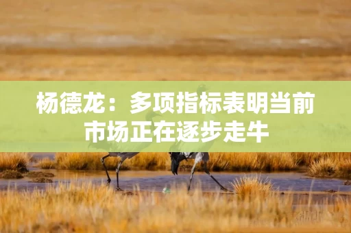 杨德龙：多项指标表明当前市场正在逐步走牛