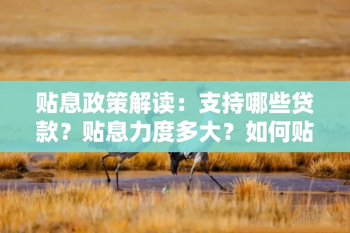 贴息政策解读：支持哪些贷款？贴息力度多大？如何贴？
