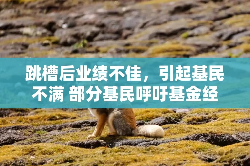 跳槽后业绩不佳，引起基民不满 部分基民呼吁基金经理贾成东“下课”
