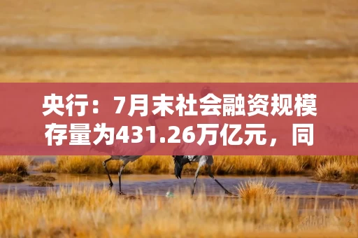 央行：7月末社会融资规模存量为431.26万亿元，同比增长9%