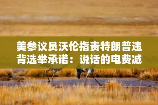 美参议员沃伦指责特朗普违背选举承诺：说话的电费减半呢？