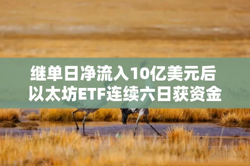 继单日净流入10亿美元后 以太坊ETF连续六日获资金净流入