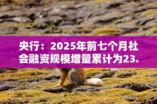 央行：2025年前七个月社会融资规模增量累计为23.99万亿元，比上年同期多5.12万亿元