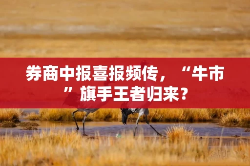 券商中报喜报频传，“牛市”旗手王者归来？