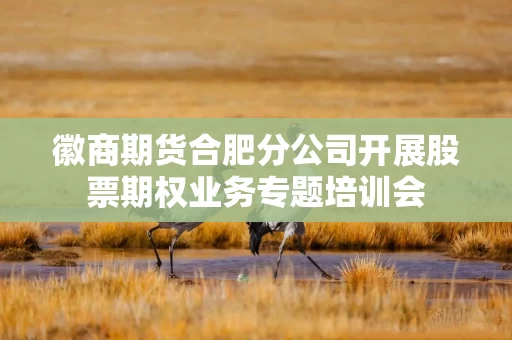 徽商期货合肥分公司开展股票期权业务专题培训会