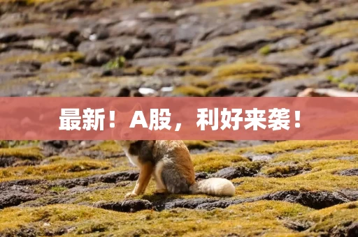 最新！A股，利好来袭！