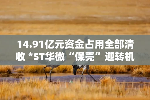 14.91亿元资金占用全部清收 *ST华微“保壳”迎转机 公司此前面临触及规范类退市指标风险