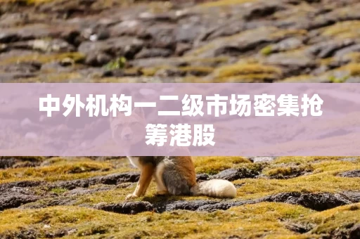 中外机构一二级市场密集抢筹港股