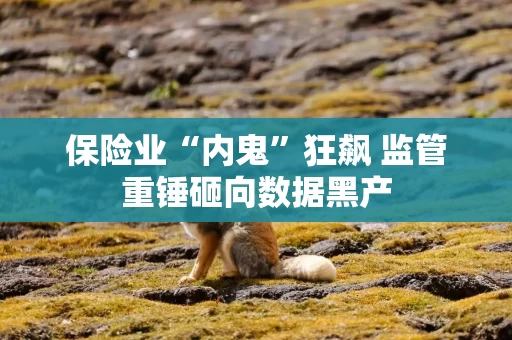 保险业“内鬼”狂飙 监管重锤砸向数据黑产