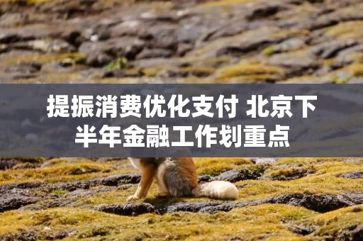 提振消费优化支付 北京下半年金融工作划重点
