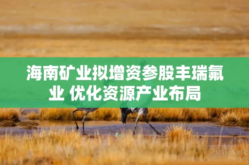 海南矿业拟增资参股丰瑞氟业 优化资源产业布局