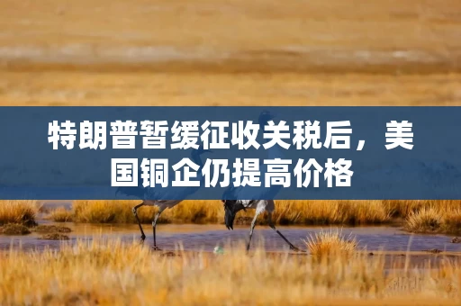 特朗普暂缓征收关税后，美国铜企仍提高价格
