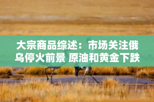 大宗商品综述：市场关注俄乌停火前景 原油和黄金下跌 伦铜走低