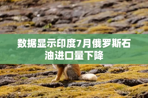 数据显示印度7月俄罗斯石油进口量下降