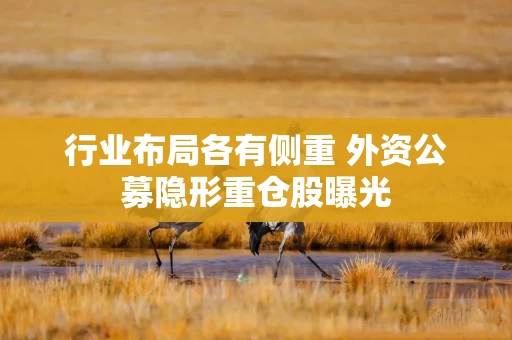 行业布局各有侧重 外资公募隐形重仓股曝光