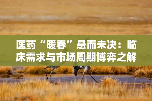 医药“暖春”悬而未决：临床需求与市场周期博弈之解在哪？