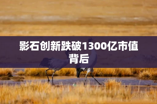 影石创新跌破1300亿市值背后