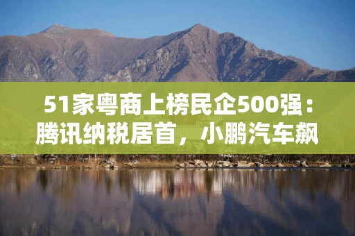 51家粤商上榜民企500强：腾讯纳税居首，小鹏汽车飙升百余名