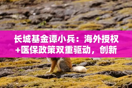 长城基金谭小兵：海外授权+医保政策双重驱动，创新药行业格局有望重塑