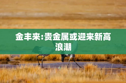 金丰来:贵金属或迎来新高浪潮