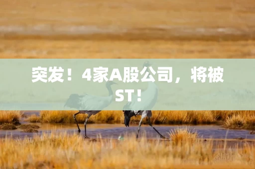 突发！4家A股公司，将被ST！