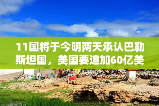 11国将于今明两天承认巴勒斯坦国，美国要追加60亿美元对以军售