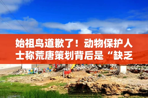 始祖鸟道歉了！动物保护人士称荒唐策划背后是“缺乏常识”