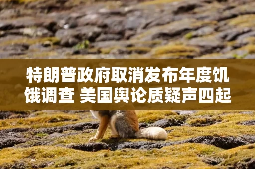 特朗普政府取消发布年度饥饿调查 美国舆论质疑声四起