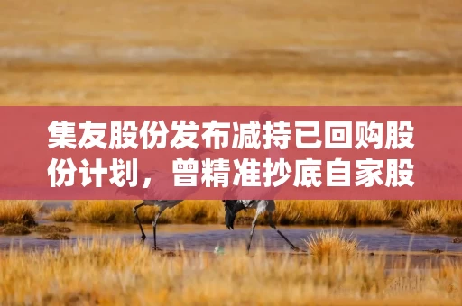集友股份发布减持已回购股份计划，曾精准抄底自家股票1年多暴赚超2倍