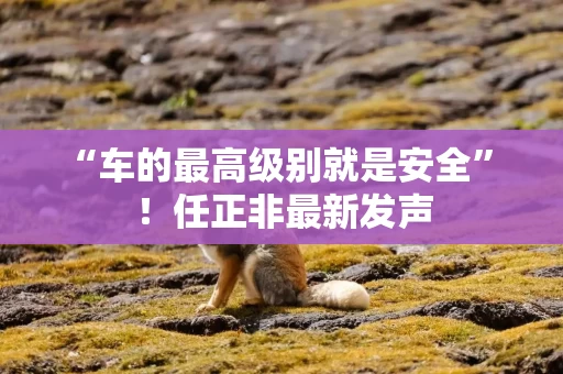 “车的最高级别就是安全” ！任正非最新发声