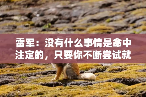 雷军：没有什么事情是命中注定的，只要你不断尝试就有机会逆天改命
