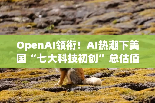 OpenAI领衔！AI热潮下美国“七大科技初创”总估值达1.3万亿美元