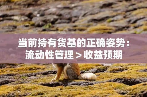 当前持有货基的正确姿势：流动性管理＞收益预期