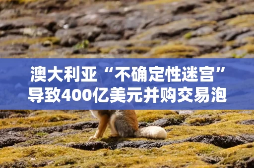 澳大利亚“不确定性迷宫”导致400亿美元并购交易泡汤