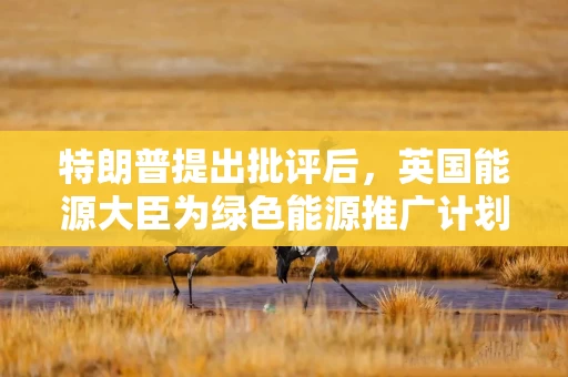 特朗普提出批评后，英国能源大臣为绿色能源推广计划辩护