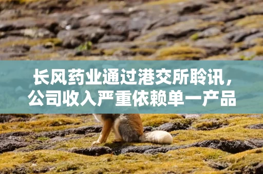 长风药业通过港交所聆讯，公司收入严重依赖单一产品