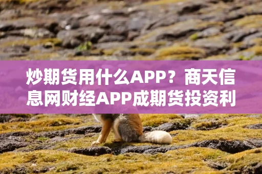 炒期货用什么APP？商天信息网财经APP成期货投资利器