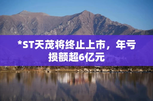 *ST天茂将终止上市，年亏损额超6亿元
