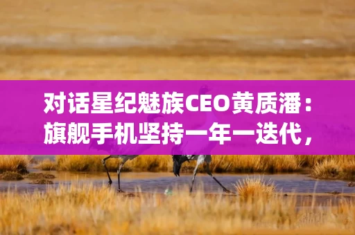 对话星纪魅族CEO黄质潘：旗舰手机坚持一年一迭代，留在牌桌上就有机会|财之道