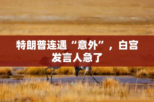 特朗普连遇“意外”，白宫发言人急了